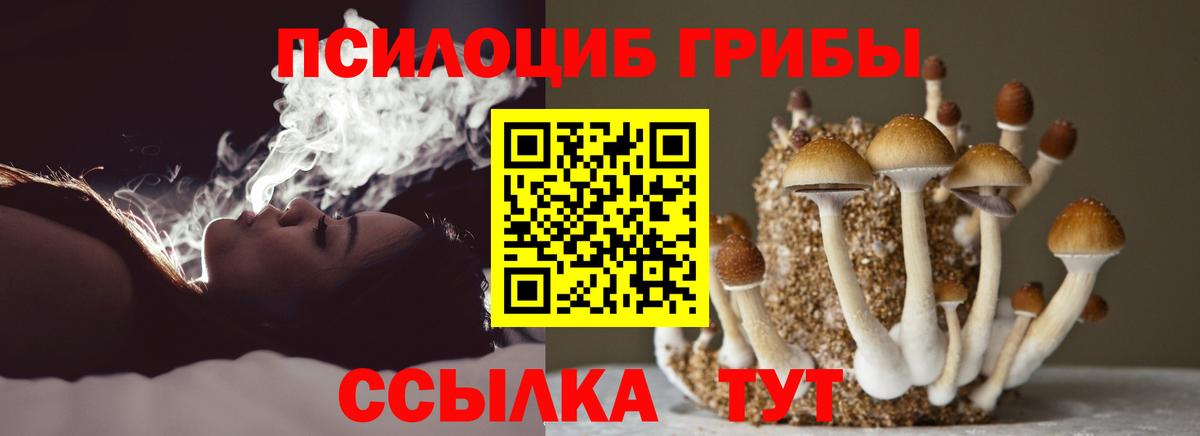 Богородск  Псилоцибиновые грибы Cubensis  наркошоп  Вход с VPN 
